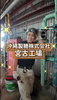 MF Jones 求人 2